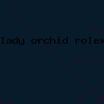 lady orchid rolex