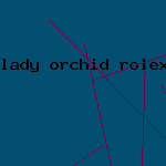 lady orchid rolex