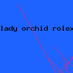 lady orchid rolex