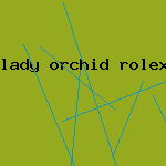 lady orchid rolex