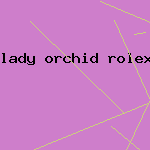 lady orchid rolex