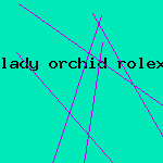 lady orchid rolex