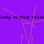 lady orchid rolex