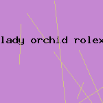 lady orchid rolex