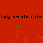 lady orchid rolex