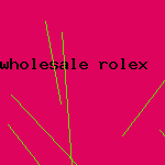 wholesale rolex